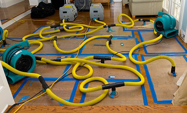 Professional Sewage Cleanup technician working in Le Sueur, MN